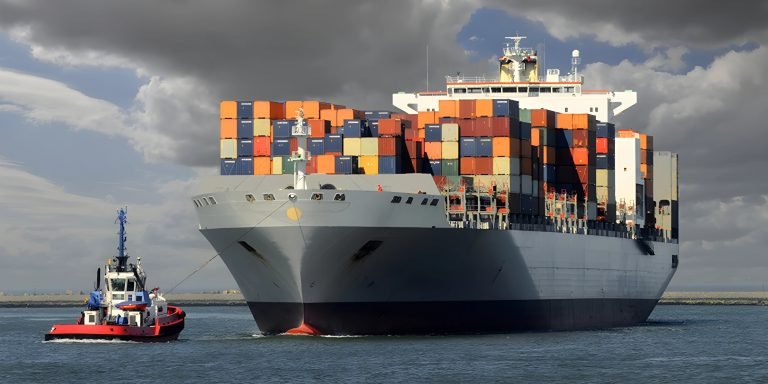 Common Mistakes in Import-Export—and How Mentor Trade 360 Helps You Avoid Them