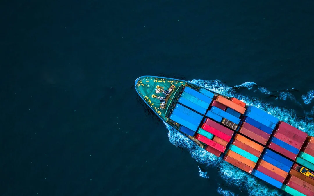 Online vs. Offline Import-Export Training: Which is Right for You?